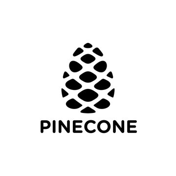 Pinecone logo design 