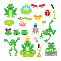 Frogs cartoon green clip-art vector set. Beetles, dragonfly, prince and water lily illustration.