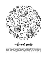 Vector illustration Nuts and seeds. Hand drawn doodle objects in circle composition with place for your text information. Black outline isolated on white background. Card, poster or flyer design.