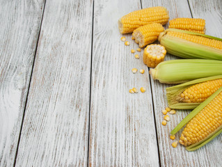 Fresh corn on the cob