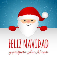 Merry Christmas in Spanish (Feliz Navidad) - concept of card with decoration. Vector.