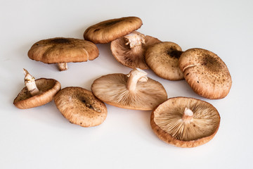 Fresh mushrooms ki ki on a white kitchen table.