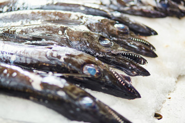 Atlantic largehead hairtails on traditional fish market in Funchal