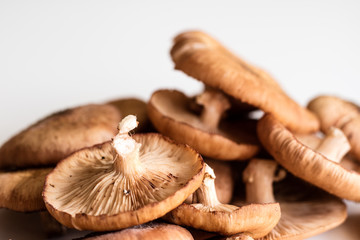 Fresh mushrooms ki ki on a white kitchen table.