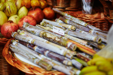 Green sugar-canes on farmer market in Funchal, Madeira, Portugal