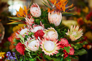 Protea flowers at market in Funchal, Madeira island, Portugal © Ekaterina Pokrovsky