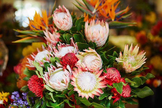 Protea flowers at market in Funchal, Madeira island, Portugal