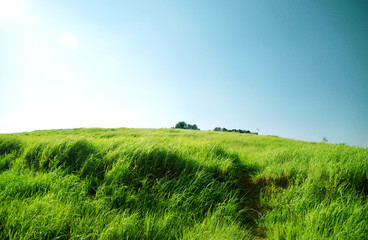 Obraz premium Excited hope love natural grassland ecological autumn sunset. Carpet leisure travel health party dance romantic holiday game love happiness at ease outing flirting stroll in the sun kiss sport golf