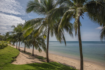 Amazing beach with palm trees in Vietnam