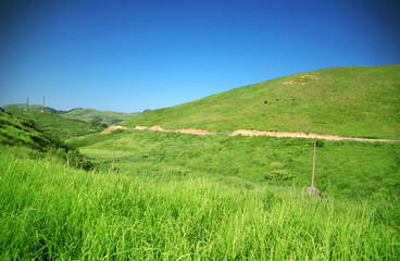 Excited hope love natural grassland ecological autumn sunset. Carpet leisure travel health party dance romantic holiday game love happiness at ease outing flirting stroll in the sun kiss sport golf 