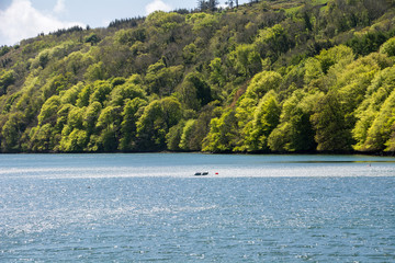 Fototapeta na wymiar Loch Hyne nature reserve, Cork,Ireland