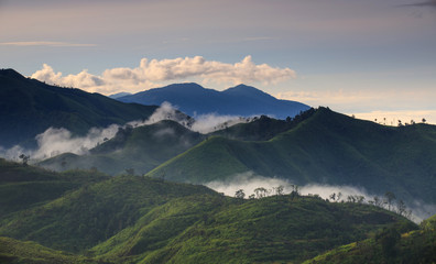 Obraz na płótnie Canvas Landscape sea of mist in Kanchanaburi province border of Thailand and Myanmar.