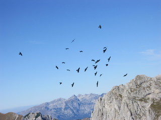 Bandijerna,Durmitor,Montenegro