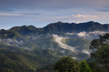 Fototapeta na wymiar Landscape sea of mist in Kanchanaburi province border of Thailand and Myanmar.