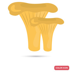 Chanterelles mushrooms color flat icon for web adn mobile design