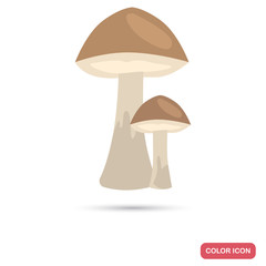 Edible mushrooms color flat icon for web and mobile design
