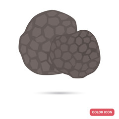 Truffle mushrooms color flat icon for web and mobile design