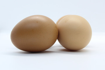 Close-up view of organic Brown Eggs on Plastic Egg Carton isolated on white background