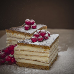 Cheesecake decorated with icing sugar and a sprig of viburnum