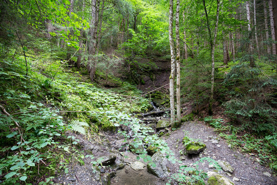 Bachlauf Eckbauer Garmisch-Partenkirchen