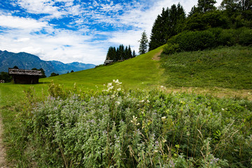 Eckbauer Garmisch-Partenkirchen Alpenpanorama