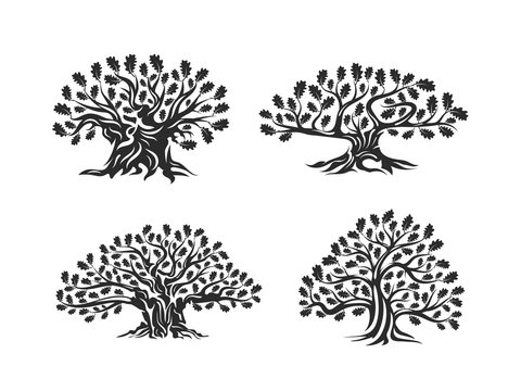 Huge and sacred oak tree silhouette logo isolated on white background. Modern vector national tradition green plant icon sign design set.
Premium quality organic logotype flat emblem illustration.