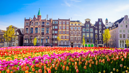 Vieux bâtiments traditionnels et tulipes à Amsterdam, Pays-Bas