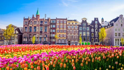 Photo sur Aluminium Amsterdam Vieux bâtiments traditionnels et tulipes à Amsterdam, Pays-Bas