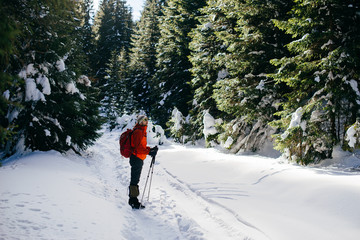 A man in bright sportswear trekking in a winter forest