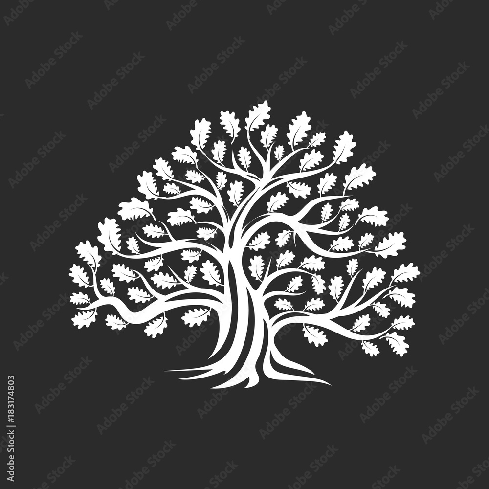 Wall mural huge and sacred oak tree silhouette logo badge isolated on dark background. modern vector national t