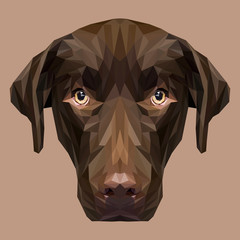 Labrador Retriever low poly design. Triangle vector illustration.