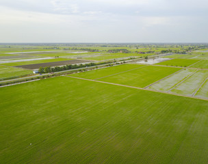Obraz premium Aerial view of green paddy field at south east Asia.