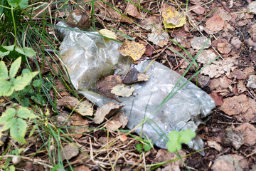 Naklejka premium Plastic trash in the forest. Tucked nature. Plastic container lying in the grass.