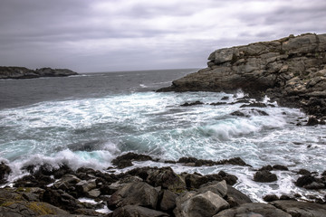 Chili ocean pacifique pélican nature