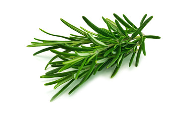 Rosmarin Nahaufnahme