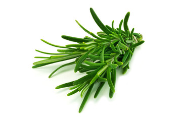 Rosmarin Nahaufnahme