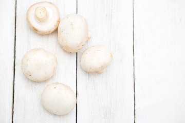 Mushroom champignon on white wooden background. Flat lay
