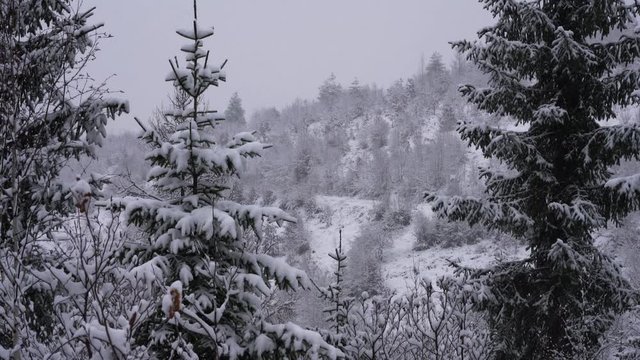 Snow in mountain - (4K)
