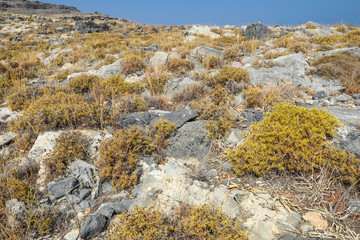 Stony landscape on the way to the Kleoboulous's tomb in Lindos on the Rhodes Island, Greece. 