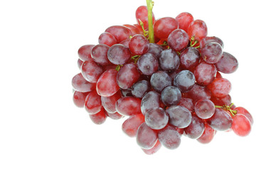 grape  on white background
