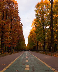 Obraz premium Leading lines