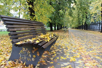 Bench after leaf