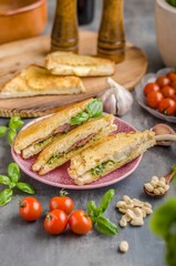 Pesto cheese sandwich