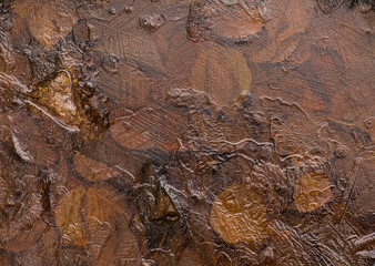 autumn leaves under ice