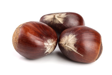 fresh edible chestnut isolated on white background