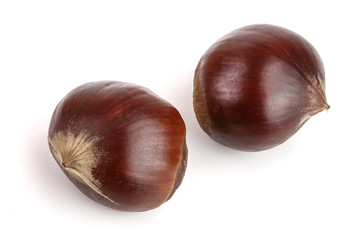 fresh edible chestnut isolated on white background