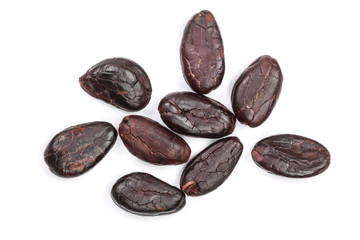 cocoa bean isolated on white background close-up top view