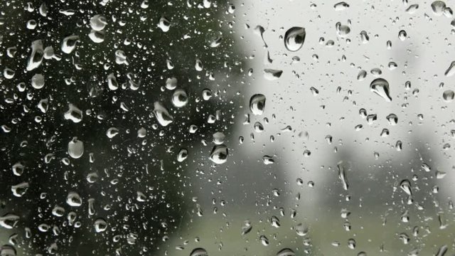 Rain drops on automobile glass during a thunder-storm.
