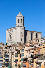 Fototapeta na wymiar Girona Cathedral and Old Town Houses in Catalonia, Spain