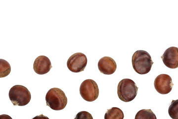 chestnut isolated on white background with copy space for your text. Top view. Flat lay